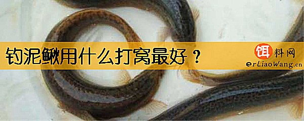 钓泥鳅用什么打窝最好