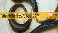 《钓泥鳅用什么打窝最好？》封面图