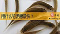 《用什么钓泥鳅最快？》封面图
