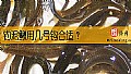 《钓泥鳅用几号钩合适？》封面图