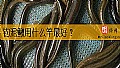 《钓泥鳅用什么竿最好？》封面图