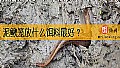 《泥鳅笼放什么饵料最好？》封面图