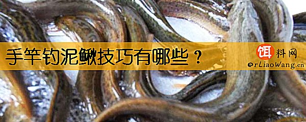 手竿钓泥鳅技巧有哪些