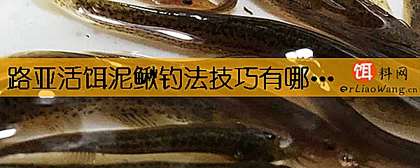 路亚活饵泥鳅钓法技巧有哪些