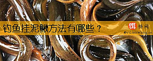 钓鱼挂泥鳅方法有哪些