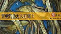 《泥鳅钓鱼怎么打窝？》封面图