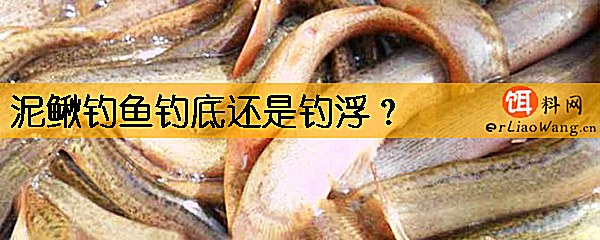 泥鳅钓鱼钓底还是钓浮