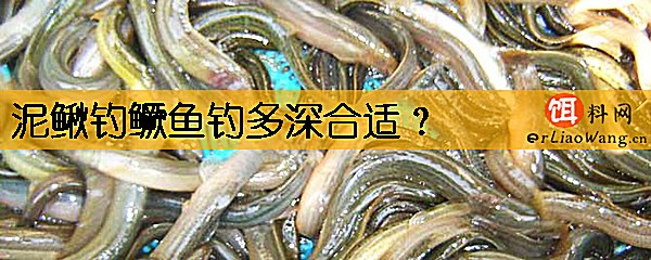 泥鳅钓鳜鱼钓多深合适