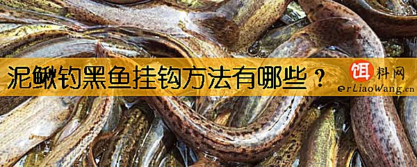 泥鳅钓黑鱼挂钩方法有哪些