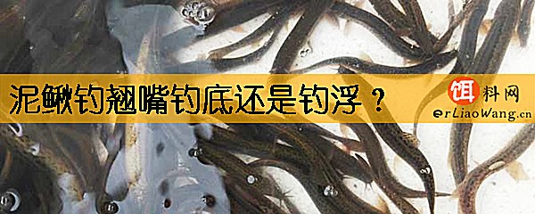 泥鳅钓翘嘴钓底还是钓浮