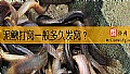 《泥鳅打窝一般多久发窝？》封面图