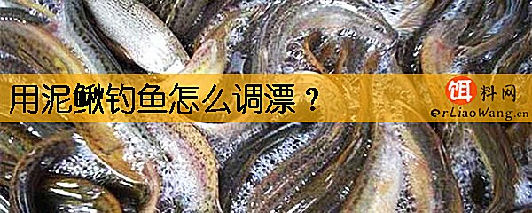 用泥鳅钓鱼怎么调漂