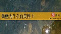 《黄鳝为什么有灵性？》封面图