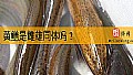 《黄鳝是雌雄同体吗？》封面图