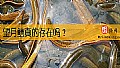 《望月鳝真的存在吗？》封面图