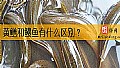 《黄鳝和鳗鱼有什么区别？》封面图
