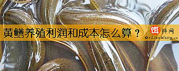 黄鳝养殖利润和成本怎么算