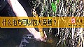 《什么地方可以钓大黄鳝？》封面图