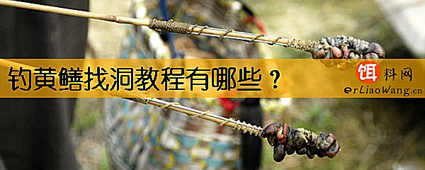 钓黄鳝找洞教程有哪些