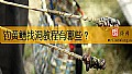 《钓黄鳝找洞教程有哪些？》封面图