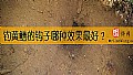 《钓黄鳝的钩子哪种效果最好？》封面图