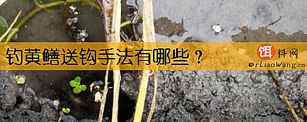 钓黄鳝送钩手法有哪些