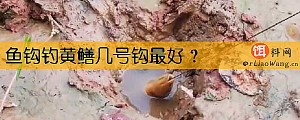 鱼钩钓黄鳝几号钩最好