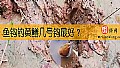 《鱼钩钓黄鳝几号钩最好？》封面图
