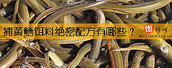 捕黄鳝饵料绝密配方有哪些