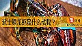 《波士顿龙虾是什么动物？》封面图
