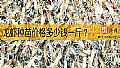 《龙虾种苗价格多少钱一斤？》封面图
