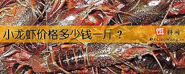 小龙虾价格多少钱一斤