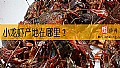 《小龙虾产地在哪里？》封面图
