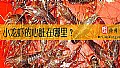 《小龙虾的心脏在哪里？》封面图