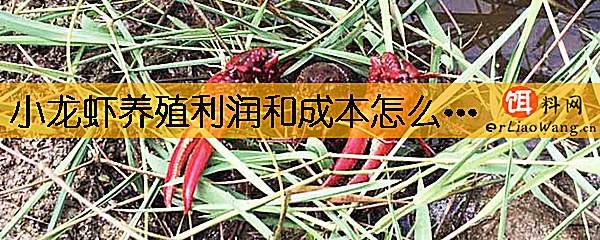 小龙虾养殖利润和成本怎么算