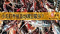 《小龙虾养殖基地哪里最多？》封面图