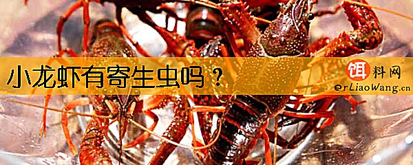 小龙虾有寄生虫吗