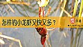 《怎样钓小龙虾又快又多？》封面图