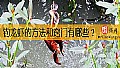 《钓龙虾的方法和窍门有哪些？》封面图