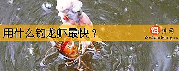用什么钓龙虾最快