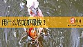 《用什么钓龙虾最快？》封面图