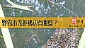 《野钓小龙虾秘诀有哪些？》封面图