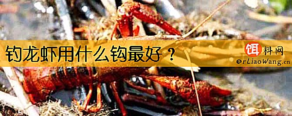钓龙虾用什么钩最好