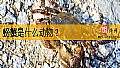 《螃蟹是什么动物？》封面图