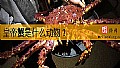 《皇帝蟹是什么动物?》封面图