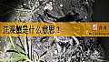 《洗澡蟹是什么意思?》封面图