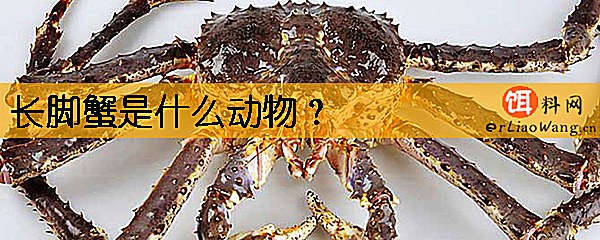 长脚蟹是什么动物