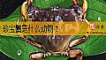 《珍宝蟹是什么动物？》封面图
