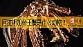《阿拉斯加帝王蟹是什么动物？》封面图