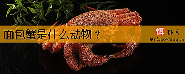 面包蟹是什么动物